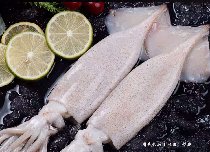 巴基斯坦魷魚進(jìn)口報(bào)關(guān)資料