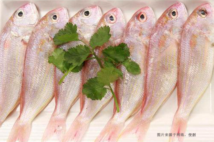 進(jìn)口巴基斯坦金線(xiàn)魚(yú)報(bào)關(guān)