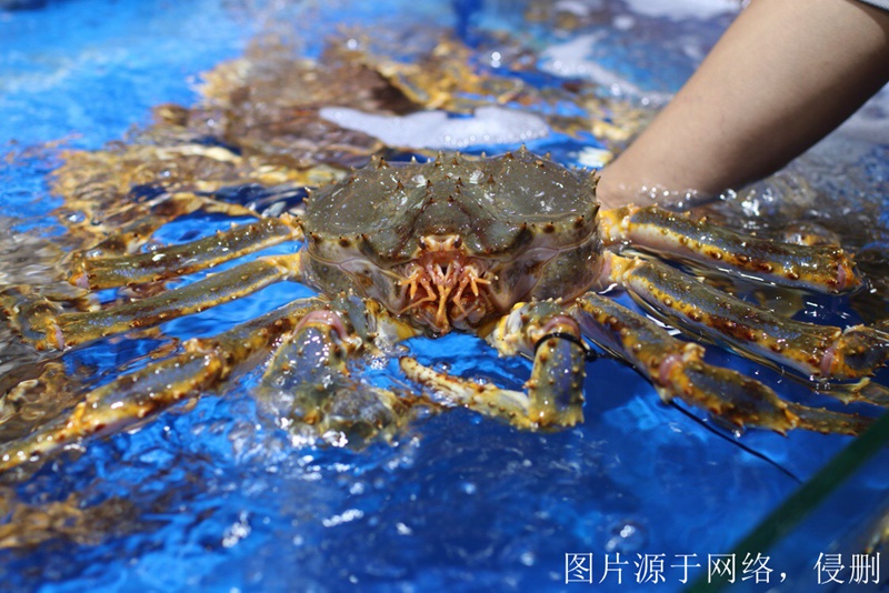 進(jìn)口菲律賓海鮮清關(guān)費(fèi)用怎么算_青島進(jìn)口海鮮報關(guān)
