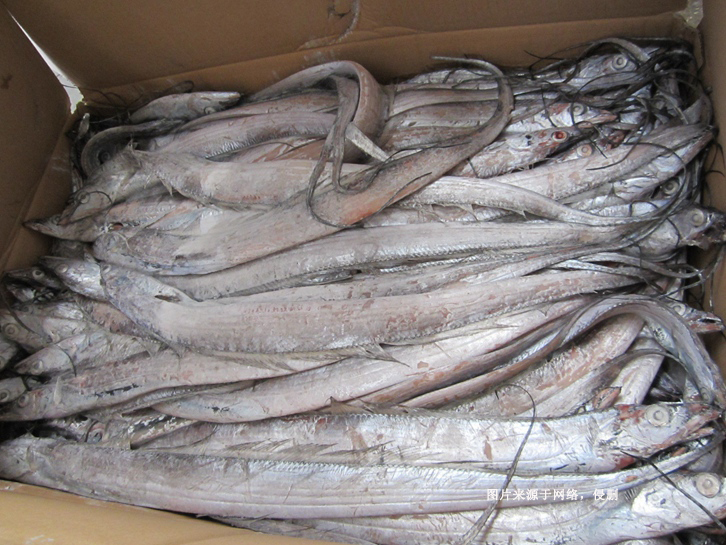 青島進(jìn)口冷凍帶魚報關(guān)資料